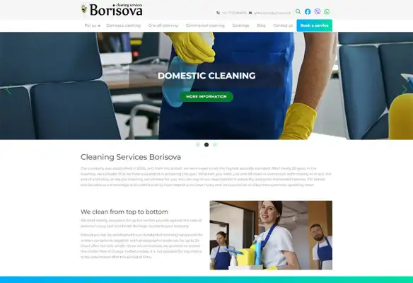 borisova-cleaningservices.co.uk